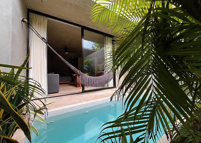 Seremonia Studios By Vida De Playa Rentals