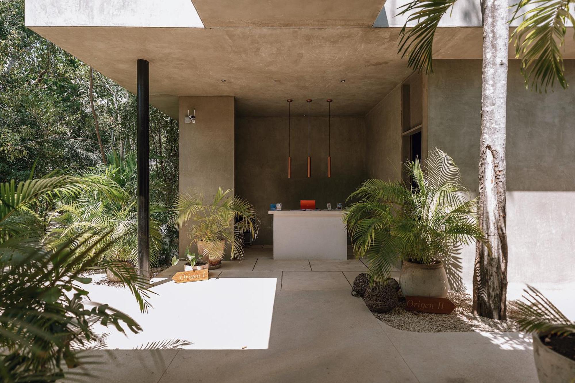 Seremonia By Vida De Playa Tulum